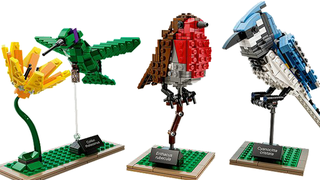 Illustration for article titled Lego Batman's New Sidekick: A Literal Lego Robin